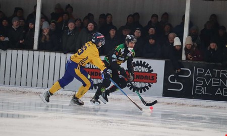 Veteranen om storpubliken: 