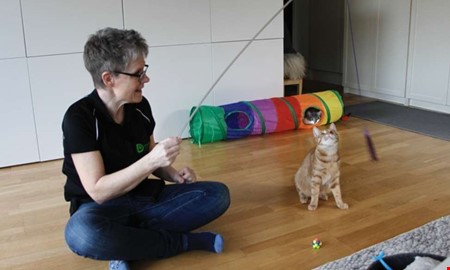 Tuff kv�ll v�ntar djuren � Karin vill se ett f�rbud