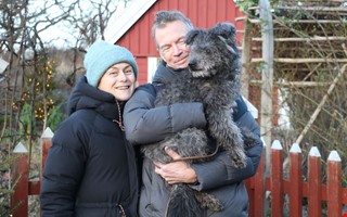 Djuren checkar in p� Tjol�holm � f�r att slippa raketer