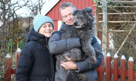 Djuren checkar in p� Tjol�holm � f�r att slippa raketer