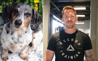 Sportcentret v�lkomnar hundar under ny�r