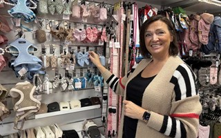 Fler pimpar hunden � ger den eget konto p� sociala medier