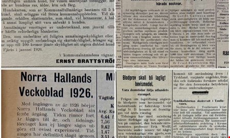 100 �r sedan: Faderskapstest, mj�lkbr�k och hundskatt