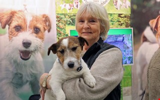 My Dog har inletts � flera Kungsbackabor p� plats 