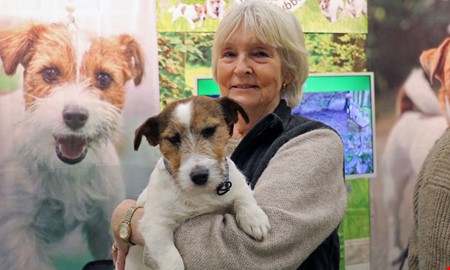 My Dog har inletts � flera Kungsbackabor p� plats 