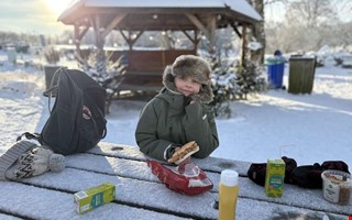 Trolskt n�r St�ttareds 4H-g�rd bj�d p� Tomtar och Troll