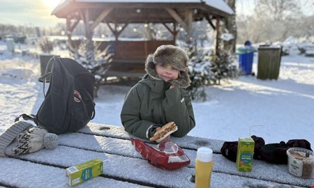 Trolskt n�r St�ttareds 4H-g�rd bj�d p� Tomtar och Troll