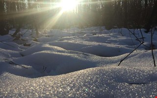 Efter sn�kaoset � s� blir v�dret fram�t