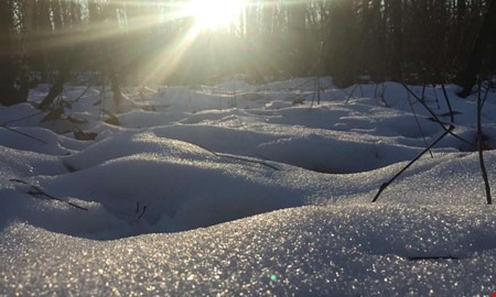 Efter sn�kaoset � s� blir v�dret fram�t