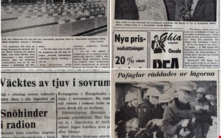 40 �r sedan: Ny simhall och br�nnskadade f�glar