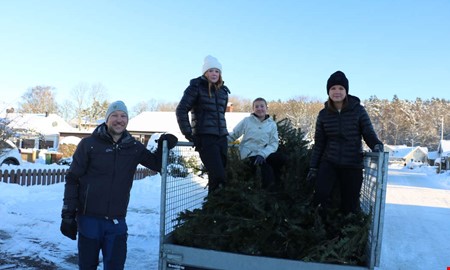 Klubbens uppdrag: H�mta 400 granar