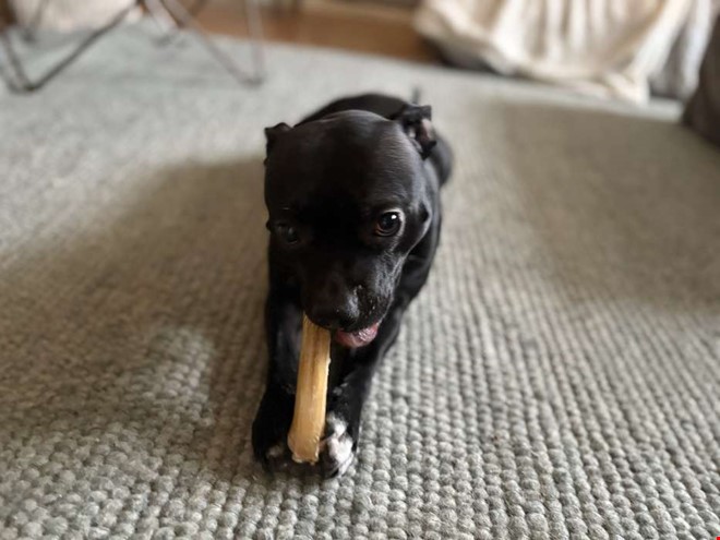 Charmtrollet Bonnie har eget konto p� Instagram