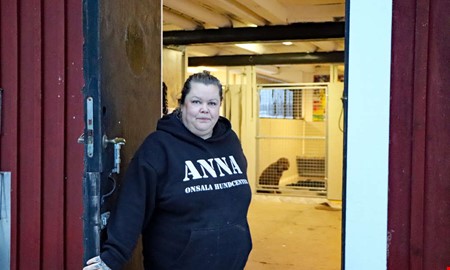 Hundcentret har flyttat � �ppnat i st�rre lokaler