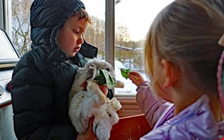 Familjens kaniner lockar barnen bort fr�n sk�rmar