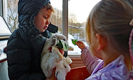 Familjens kaniner lockar barnen bort fr�n sk�rmar