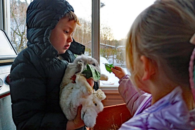 Familjens kaniner lockar barnen bort fr�n sk�rmar