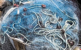 Kraven sk�rps p� fiskare � burar ska g� att sp�ra