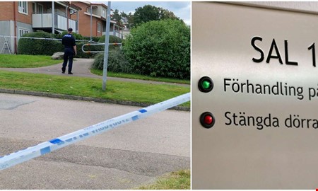 Handgranat hittades � misst�nkta kvar i h�ktet
