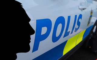 Man d�ms f�r grov rattfylla efter vinglig f�rd p� E6