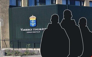 Stor st�ldh�rva rullas upp � tre �talas f�r brott i �sa