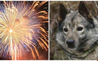 Debatt: Vad t�nker ni g�ra �t fyrverkerier?