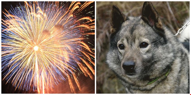 Debatt: Vad t�nker ni g�ra �t fyrverkerier?