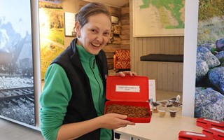 Om f�glar inp� knuten � och vad de gillar 