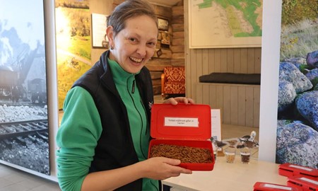 Om f�glar inp� knuten � och vad de gillar 