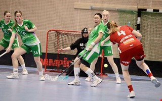 Kaptenen efter nya hemmatorsken: �Jag har ocks� t�nkt p� det� 