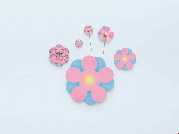 Årets majblomma ska ge en gladare vardag Årets majblomma ska ge en gladare vardag