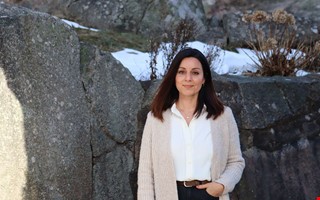 Nya modellen ska motverka kriminalitet bland unga