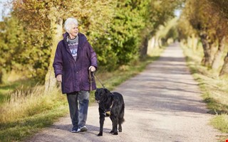 Nytt larm ger �kad trygghet f�r 2 000 Kungsbackabor