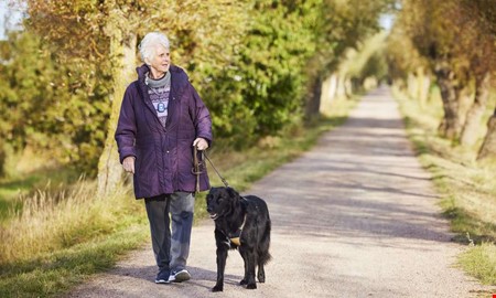 Nytt larm ger �kad trygghet f�r 2 000 Kungsbackabor