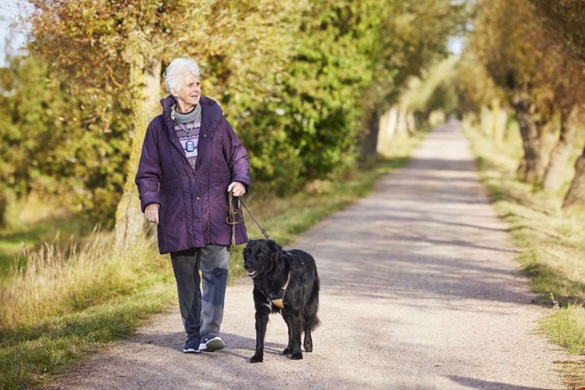 Nytt larm ger �kad trygghet f�r 2 000 Kungsbackabor