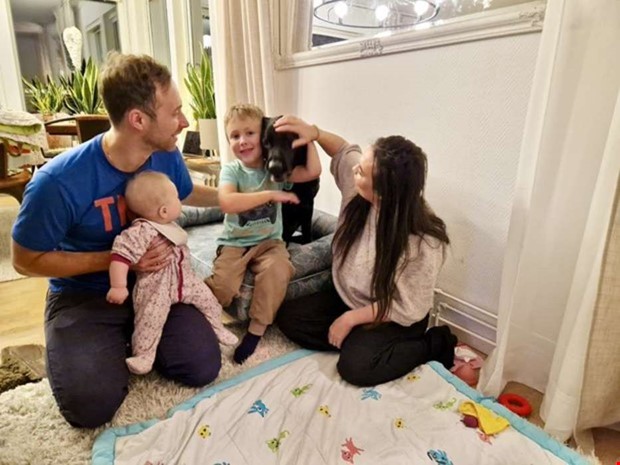 Se klippet på Elvis och Se klippet på Elvis och