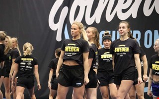 18-�ringen b�rgade karri�rens andra NM-guld