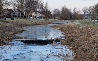 S� kan fisken trivas � hinder ska tas bort i �n 