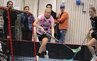 Tr�naren om nedflyttningshotet: 