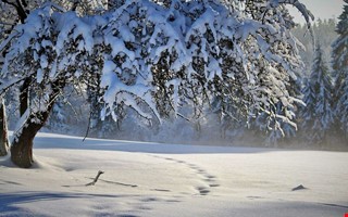 �nnu kallare dagar v�ntar � och risk f�r mer sn�