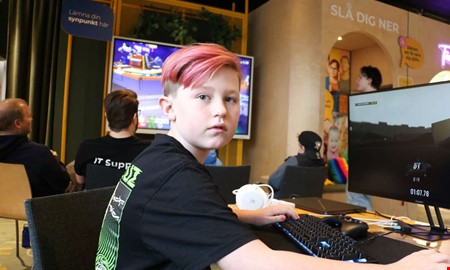 IT-experter utmanades i popul�rt gejmingevent