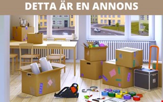 Anlita flyttfirma eller fixa sj�lv � vad l�nar sig egentligen?