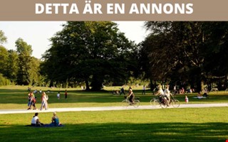 Gr�nomr�dens p�verkan p� mental h�lsa i st�der