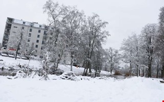 SMHI utf�rdar gul varning f�r sn�fall