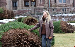 Tjol�holms 80-�riga idegranar kapas: 