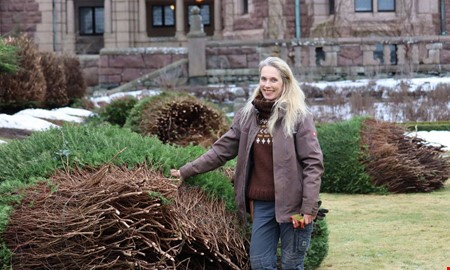 Tjol�holms 80-�riga idegranar kapas: 