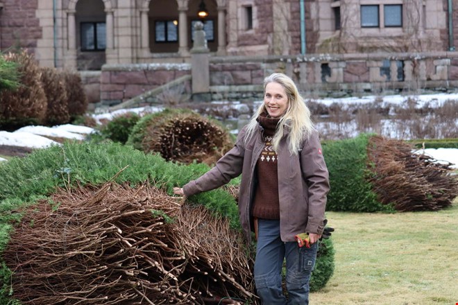 Tjol�holms 80-�riga idegranar kapas: 