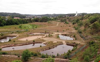 Fortfarande inget nytt tillst�nd f�r Lygnern