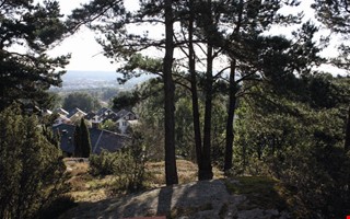 Debatt: Tack till er som bygger Sverige 