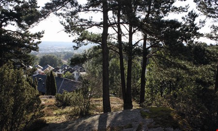 Debatt: Tack till er som bygger Sverige 