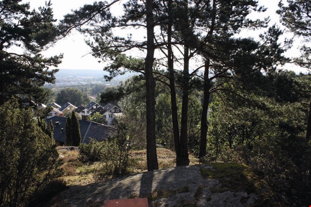 Debatt: Tack till er som bygger Sverige 